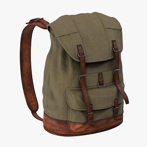 3d model standing travel backpack