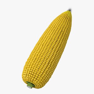 3d model corn