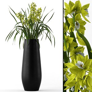 Cymbidium in floor vase
