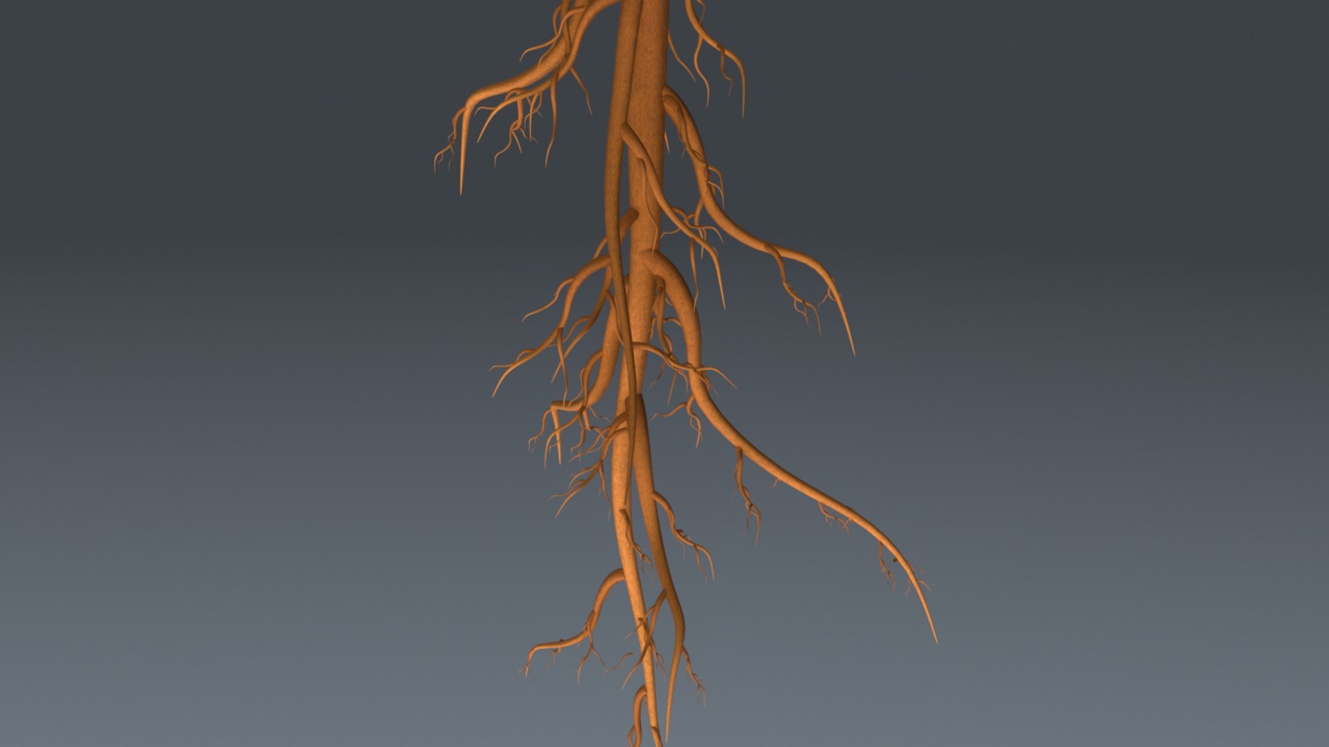 3d lycopersicon esculentum tree model https://p.turbosquid.com/ts-thumb/6z/NRM5ms/a07DYfbZ/b0179lycopersiconesculentum_aerial.0001/jpg/1466078201/1920x1080/fit_q87/d0f41ae7d3d221e85d8a0d564bbd47d1de2bae6c/b0179lycopersiconesculentum_aerial.0001.jpg