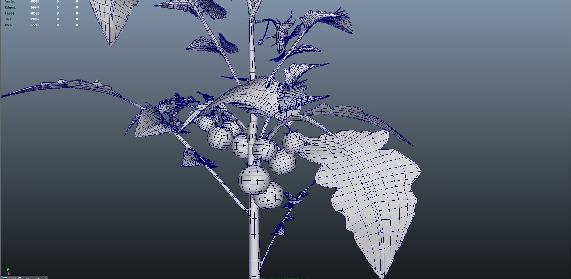 3d lycopersicon esculentum tree model https://p.turbosquid.com/ts-thumb/6z/NRM5ms/x5ALNNJG/b0179lycopersiconesculentum_meshmode01/png/1466078221/1920x1080/fit_q87/593b05dea4882d529929813ea0d87b380a0b71dc/b0179lycopersiconesculentum_meshmode01.jpg
