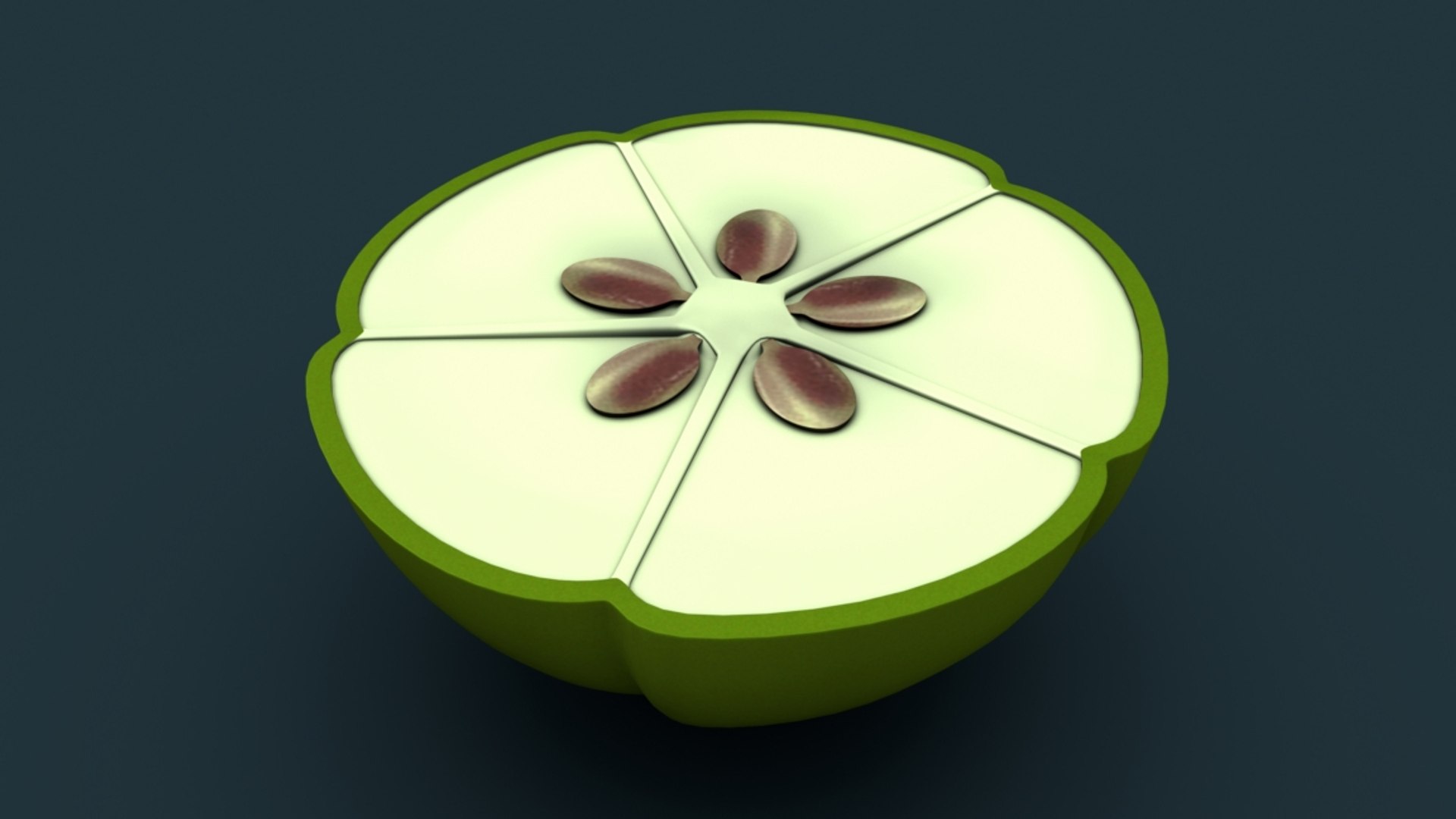 pentalocular ovary 3D model https://p.turbosquid.com/ts-thumb/6z/RE7P4p/z6EQuH93/b1425epentalocularovary_2/jpg/1521009615/1920x1080/fit_q87/cd94c0c546db8901a39af08f5028d5dadd001e76/b1425epentalocularovary_2.jpg