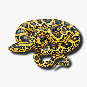3D Yellow Anaconda - Animated