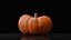 Photoreal Decorative Pumpkin Scan 06