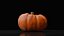 Photoreal Decorative Pumpkin Scan 06