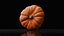 Photoreal Decorative Pumpkin Scan 06