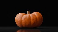Photoreal Decorative Pumpkin Scan 06