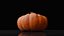 Photoreal Decorative Pumpkin Scan 06