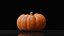 Photoreal Decorative Pumpkin Scan 06