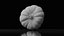 Photoreal Decorative Pumpkin Scan 06