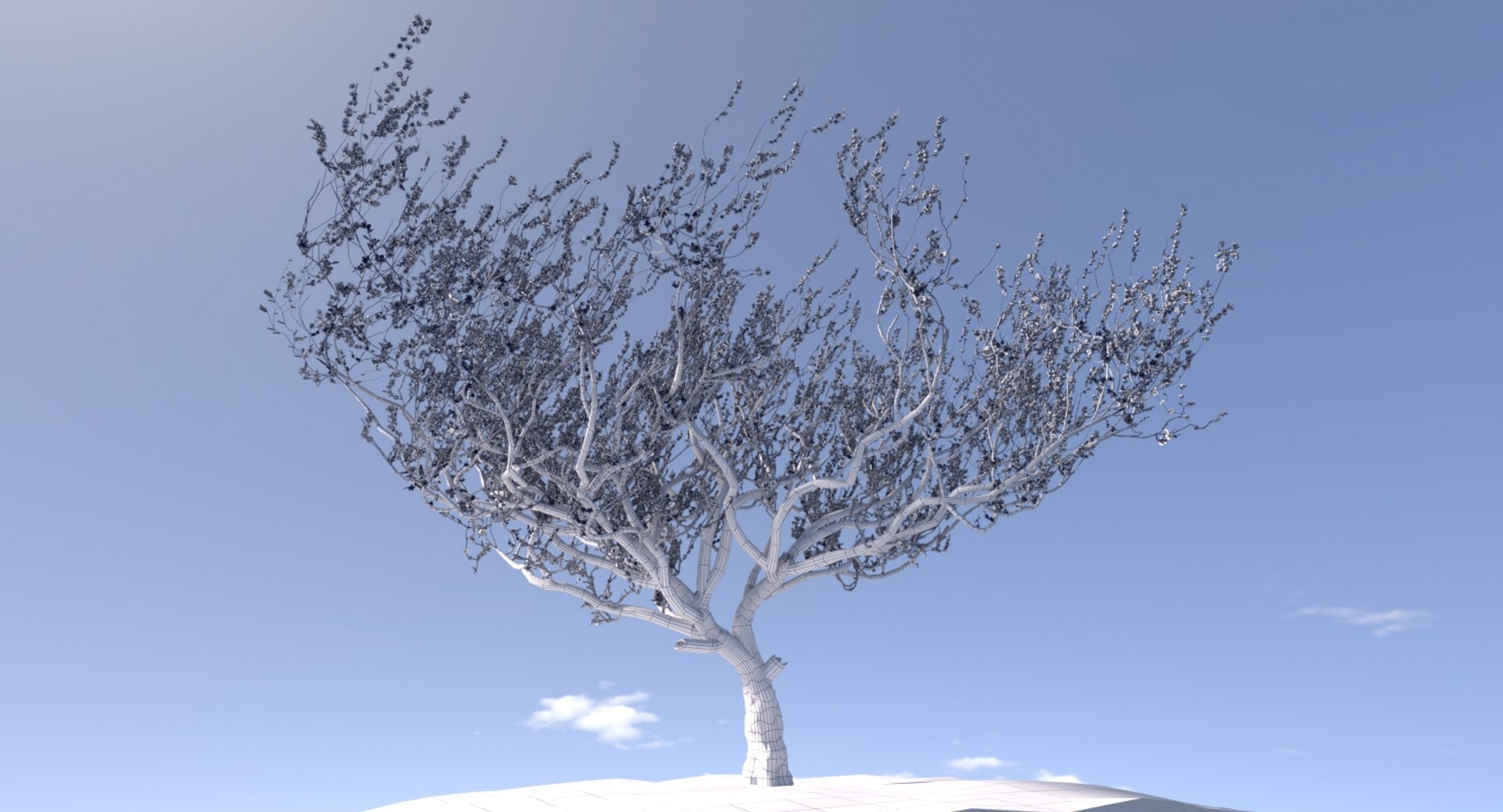3d Model Blossoming Apricot Tree