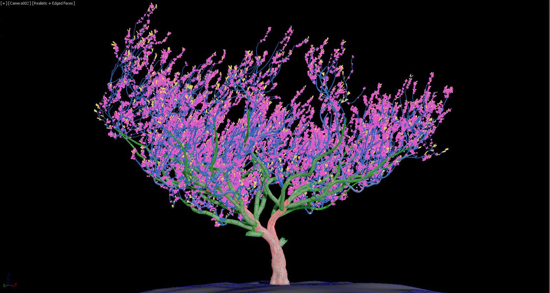 3d Model Blossoming Apricot Tree