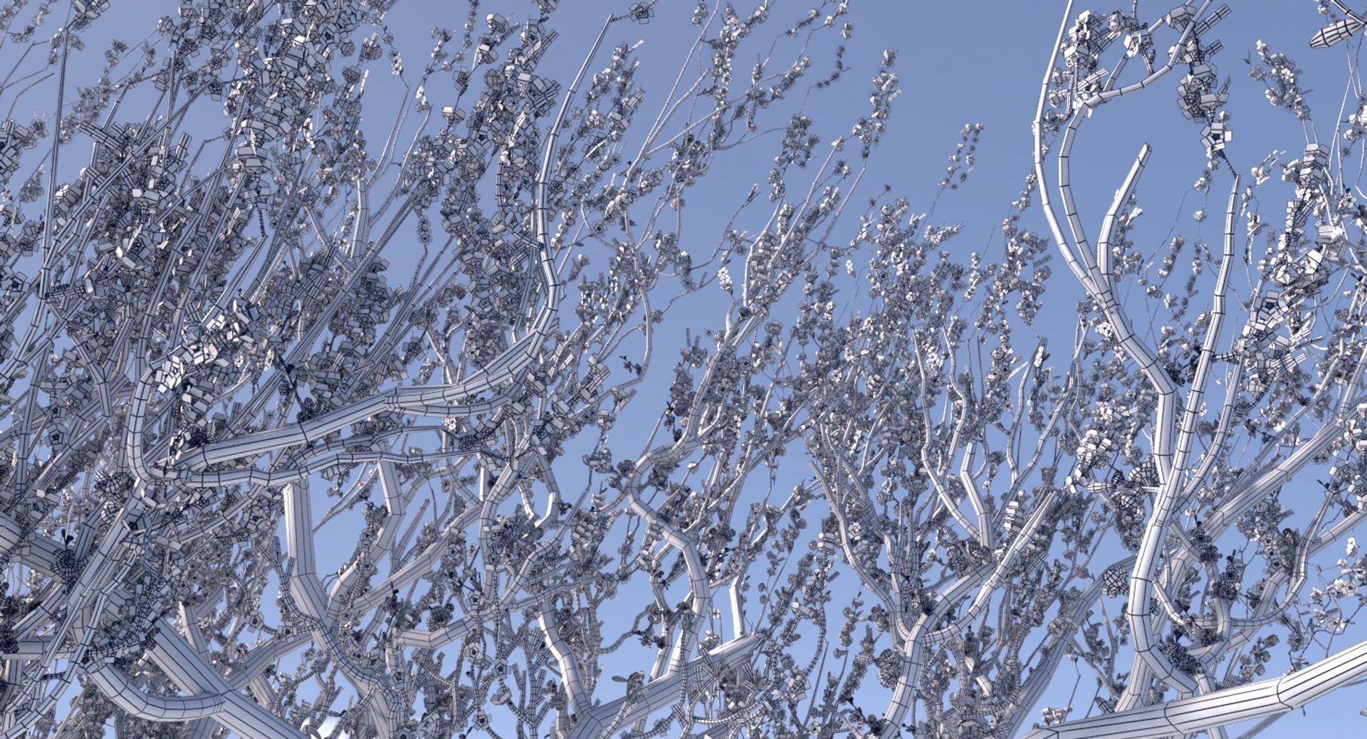 3d Model Blossoming Apricot Tree