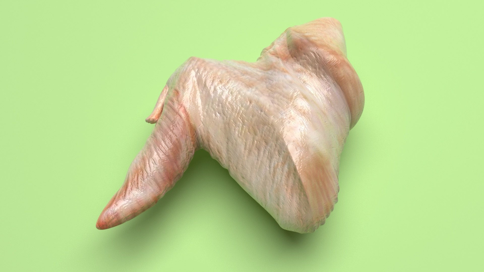 Chicken Wing 3D Model - TurboSquid 2249600