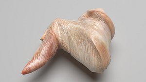 Chicken Wing 3D model
