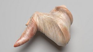 Chicken Wing
