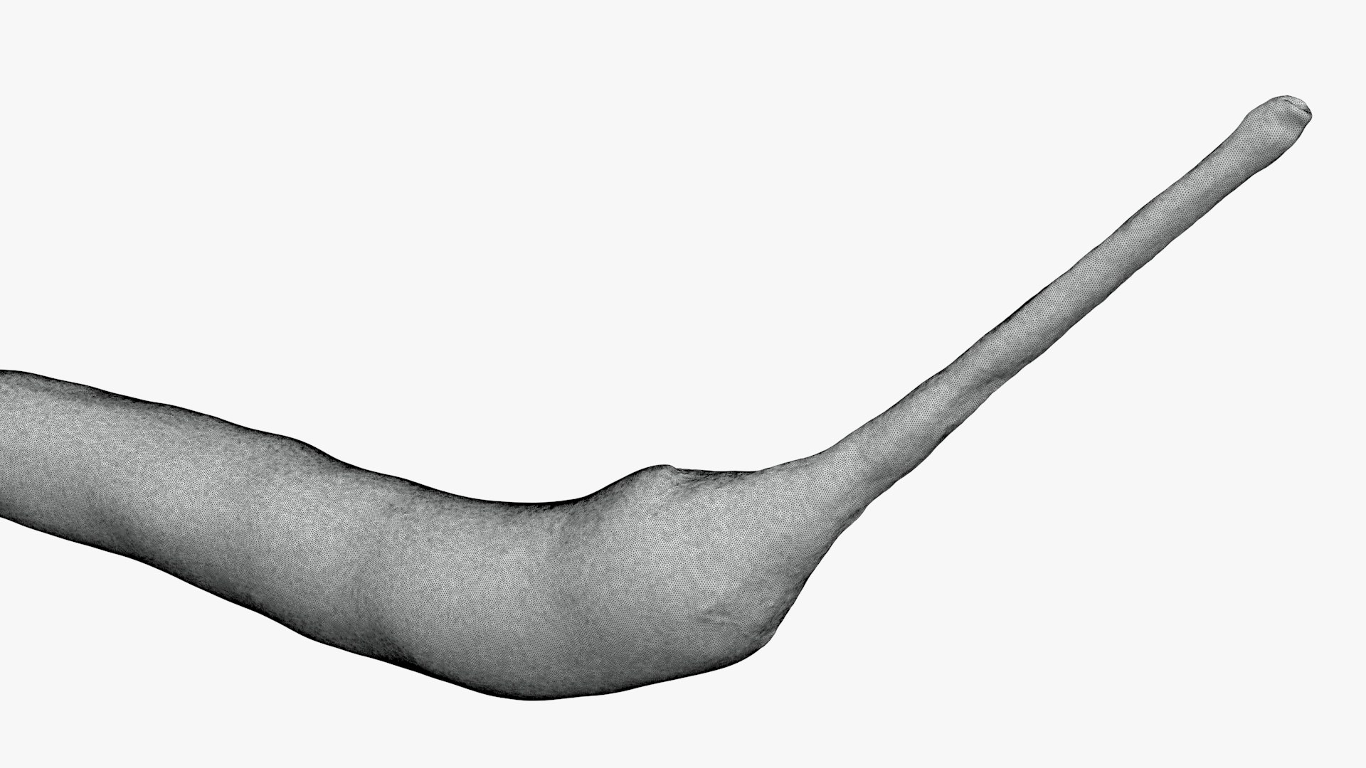 3D Chili Pepper 03 for 3D Print model https://p.turbosquid.com/ts-thumb/6z/mjcVbu/7E/chilipepper03_g0001/jpg/1744744524/1920x1080/fit_q87/8e0850e64407a593e62ca1b707d6e589581e0d21/chilipepper03_g0001.jpg