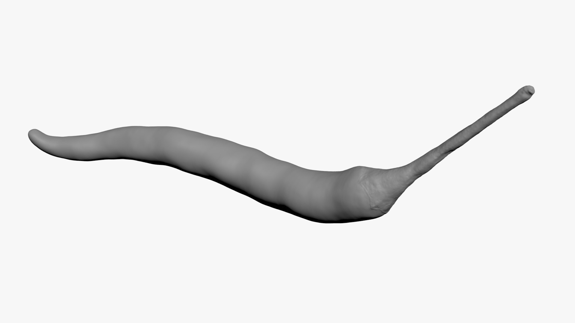 3D Chili Pepper 03 for 3D Print model https://p.turbosquid.com/ts-thumb/6z/mjcVbu/I6/chilipepper03_b0006/jpg/1744744518/1920x1080/fit_q87/d47d14d66e44a7364100523c8ab6dfe3de97307d/chilipepper03_b0006.jpg