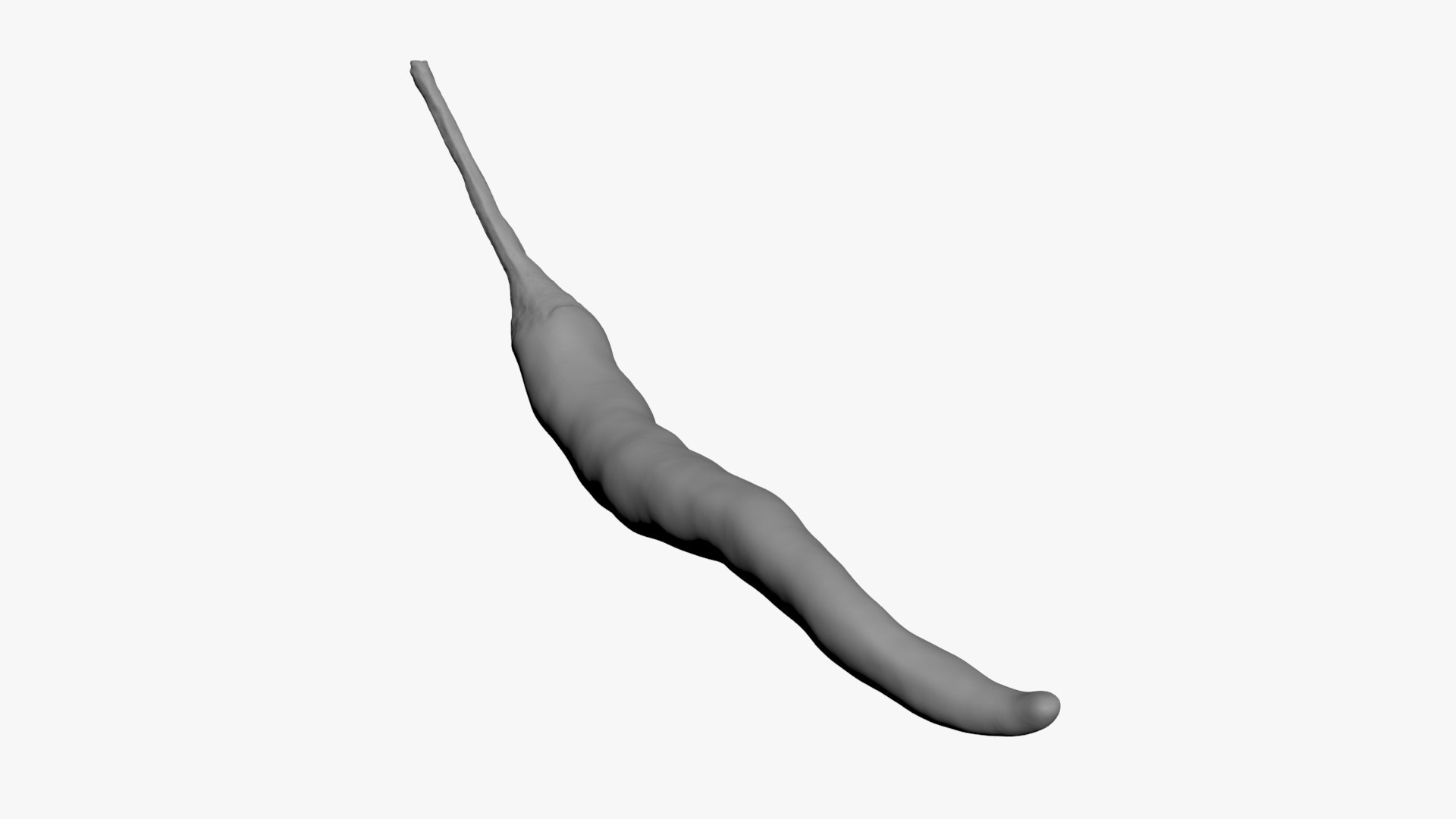 3D Chili Pepper 03 for 3D Print model https://p.turbosquid.com/ts-thumb/6z/mjcVbu/Le/chilipepper03_b0004/jpg/1744744517/1920x1080/fit_q87/81d22f7d7e15c9ed912b061042dc73b7ae16c5dd/chilipepper03_b0004.jpg