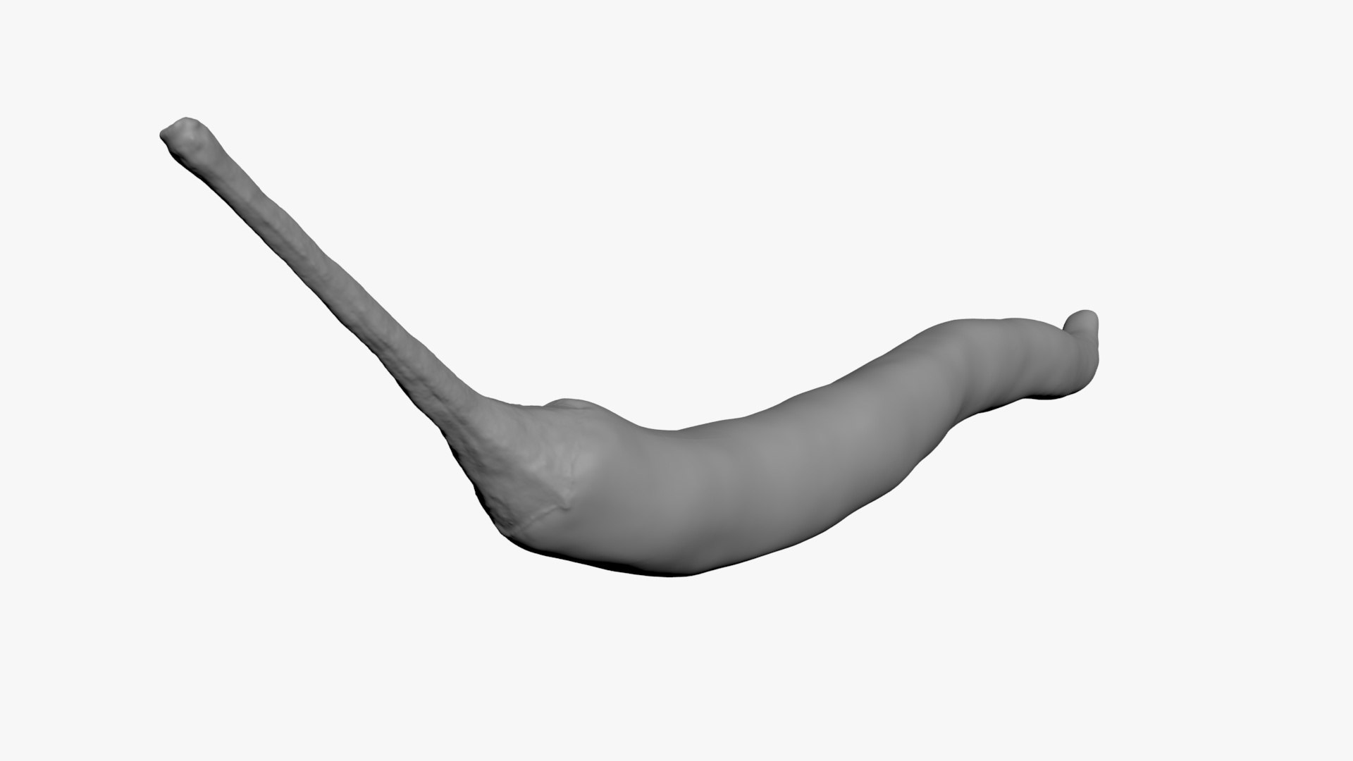 3D Chili Pepper 03 for 3D Print model https://p.turbosquid.com/ts-thumb/6z/mjcVbu/RZ/chilipepper03_b0014/jpg/1744744520/1920x1080/fit_q87/324a551807e5dad0e364405e99396791b3db9795/chilipepper03_b0014.jpg