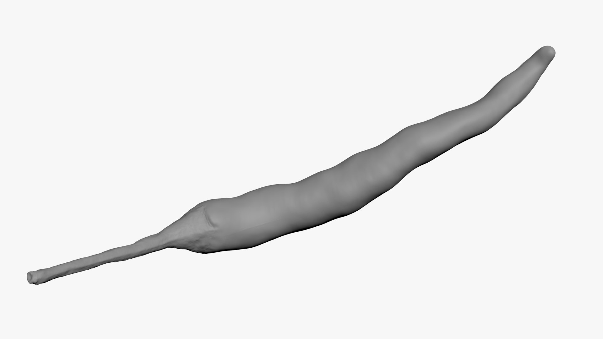 3D Chili Pepper 03 for 3D Print model https://p.turbosquid.com/ts-thumb/6z/mjcVbu/SA/chilipepper03_b0012/jpg/1744744520/1920x1080/fit_q87/4219ab5be696a85809c9bb852dee43394043c84e/chilipepper03_b0012.jpg