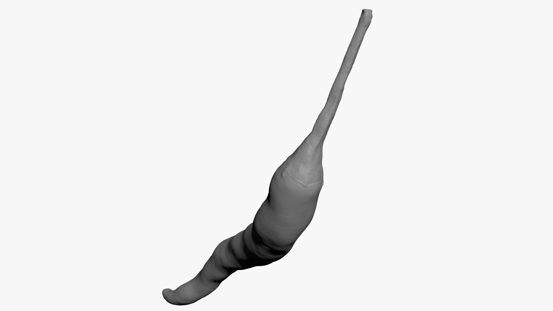 3D Chili Pepper 03 for 3D Print model https://p.turbosquid.com/ts-thumb/6z/mjcVbu/Sv/chilipepper03_b0022/jpg/1744744523/1920x1080/fit_q87/36ba97eb55c3902a9fe29b88415cf7465b0d0902/chilipepper03_b0022.jpg