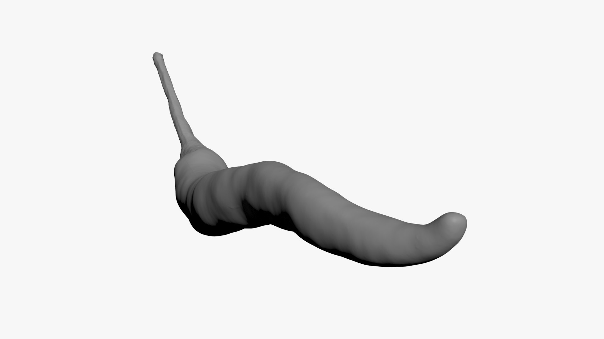 3D Chili Pepper 03 for 3D Print model https://p.turbosquid.com/ts-thumb/6z/mjcVbu/Zy/chilipepper03_b0008/jpg/1744744519/1920x1080/fit_q87/26a2fcea6a73a674cf0fbd172287d0a640be2b10/chilipepper03_b0008.jpg