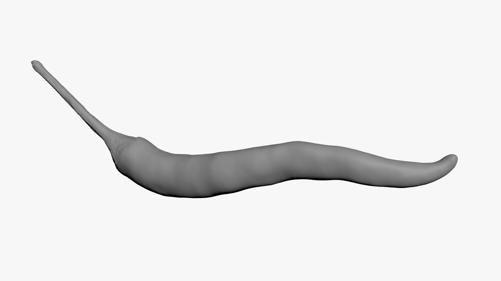 3D Chili Pepper 03 for 3D Print model https://p.turbosquid.com/ts-thumb/6z/mjcVbu/g8/chilipepper03_b0000/jpg/1744744517/1920x1080/fit_q87/d4f4bc95e5e9da9009d517dbebe9eeb84a67390b/chilipepper03_b0000.jpg
