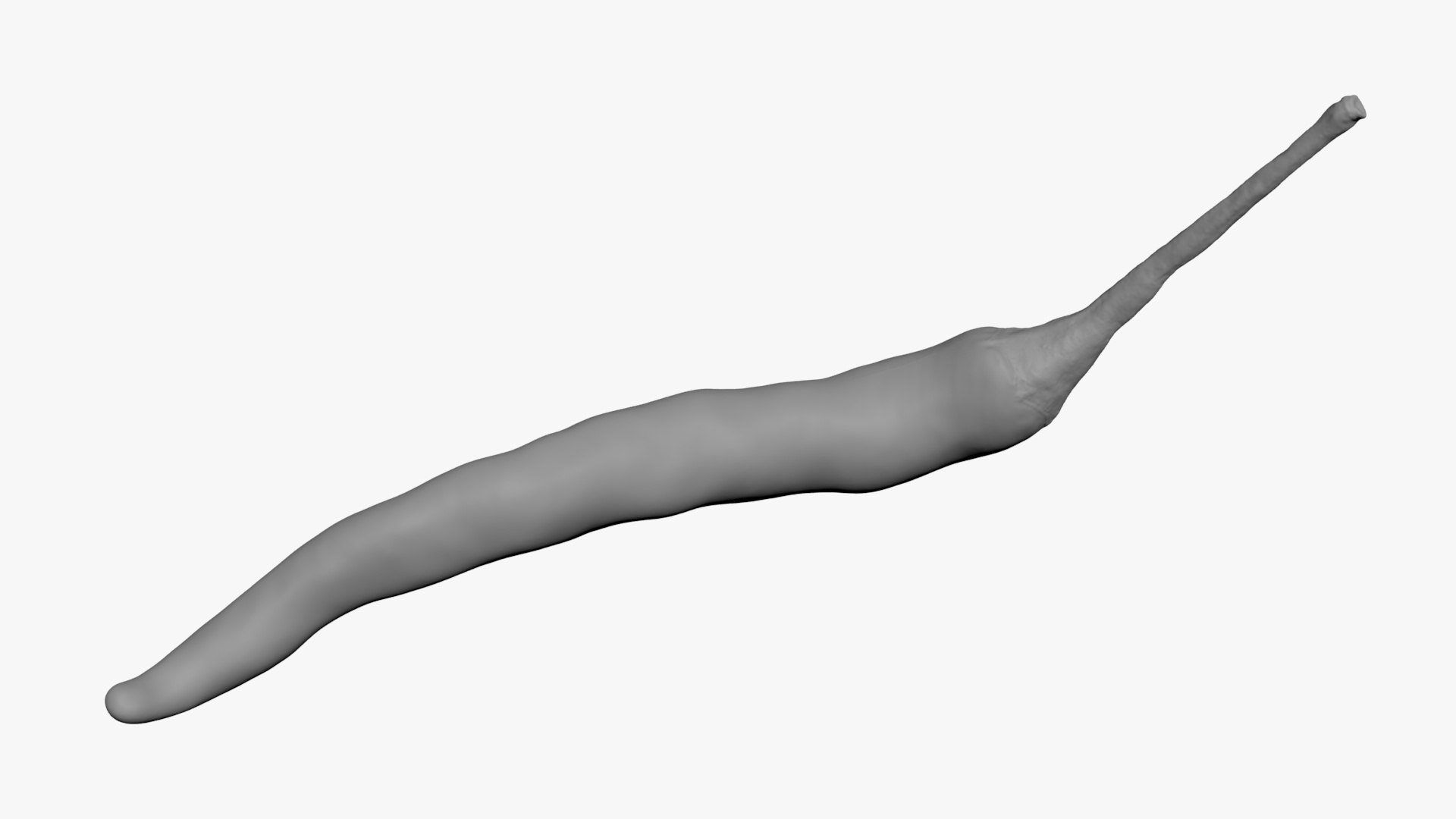 3D Chili Pepper 03 for 3D Print model https://p.turbosquid.com/ts-thumb/6z/mjcVbu/ny/chilipepper03_b0016/jpg/1744744521/1920x1080/fit_q87/5e20eb96c12df3ff7ee625799f254e774248f49f/chilipepper03_b0016.jpg