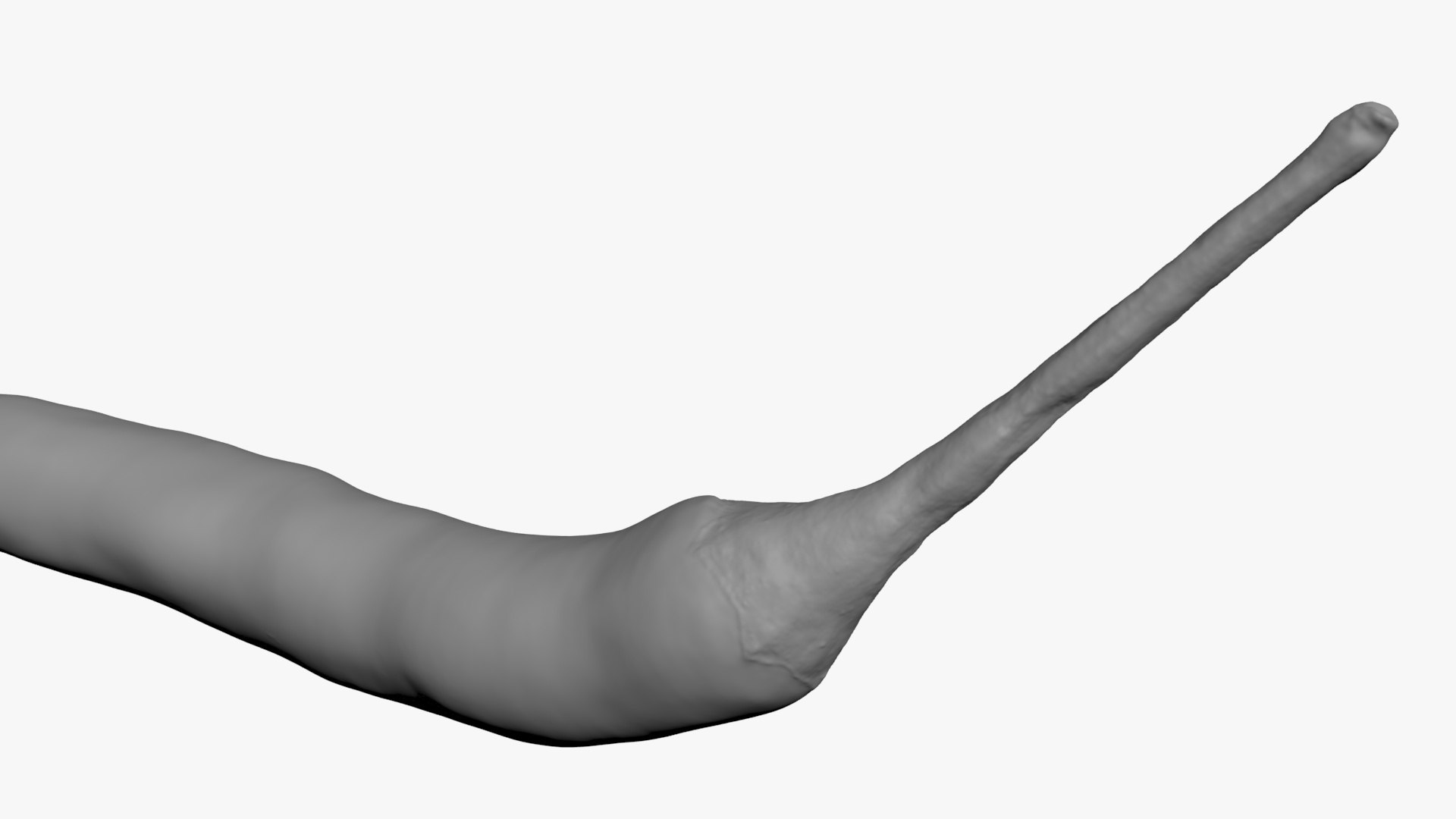 3D Chili Pepper 03 for 3D Print model https://p.turbosquid.com/ts-thumb/6z/mjcVbu/tP/chilipepper03_b0024/jpg/1744744524/1920x1080/fit_q87/0a732da13a45ff8e209cd869a81506a5e3e06c4e/chilipepper03_b0024.jpg