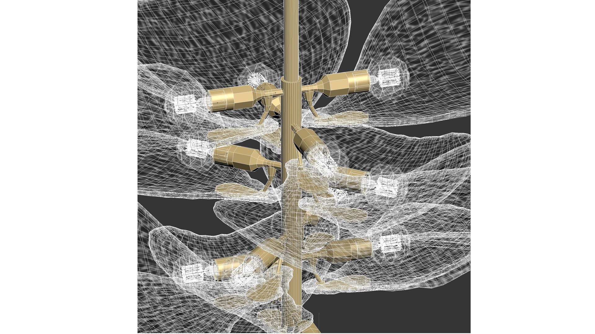 Cardiff Chandelier  Corbett Lighting 3D model https://p.turbosquid.com/ts-thumb/70/BZ9cbr/KU/73/jpg/1773671200/1920x1080/fit_q87/530e440933d7502968ec5e50815a7c1dc5f2702a/73.jpg