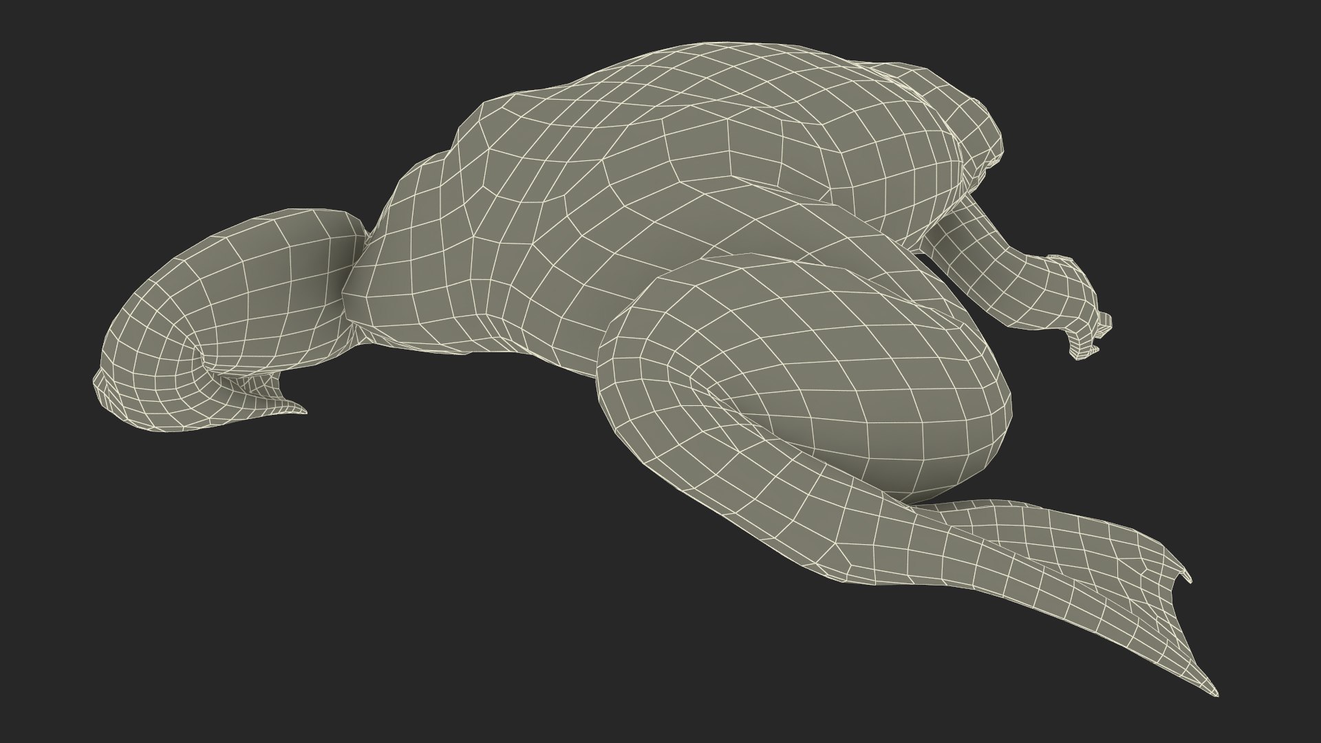 Xenopus African Clawed Toad Sits Pose 3D model - TurboSquid 2132255
