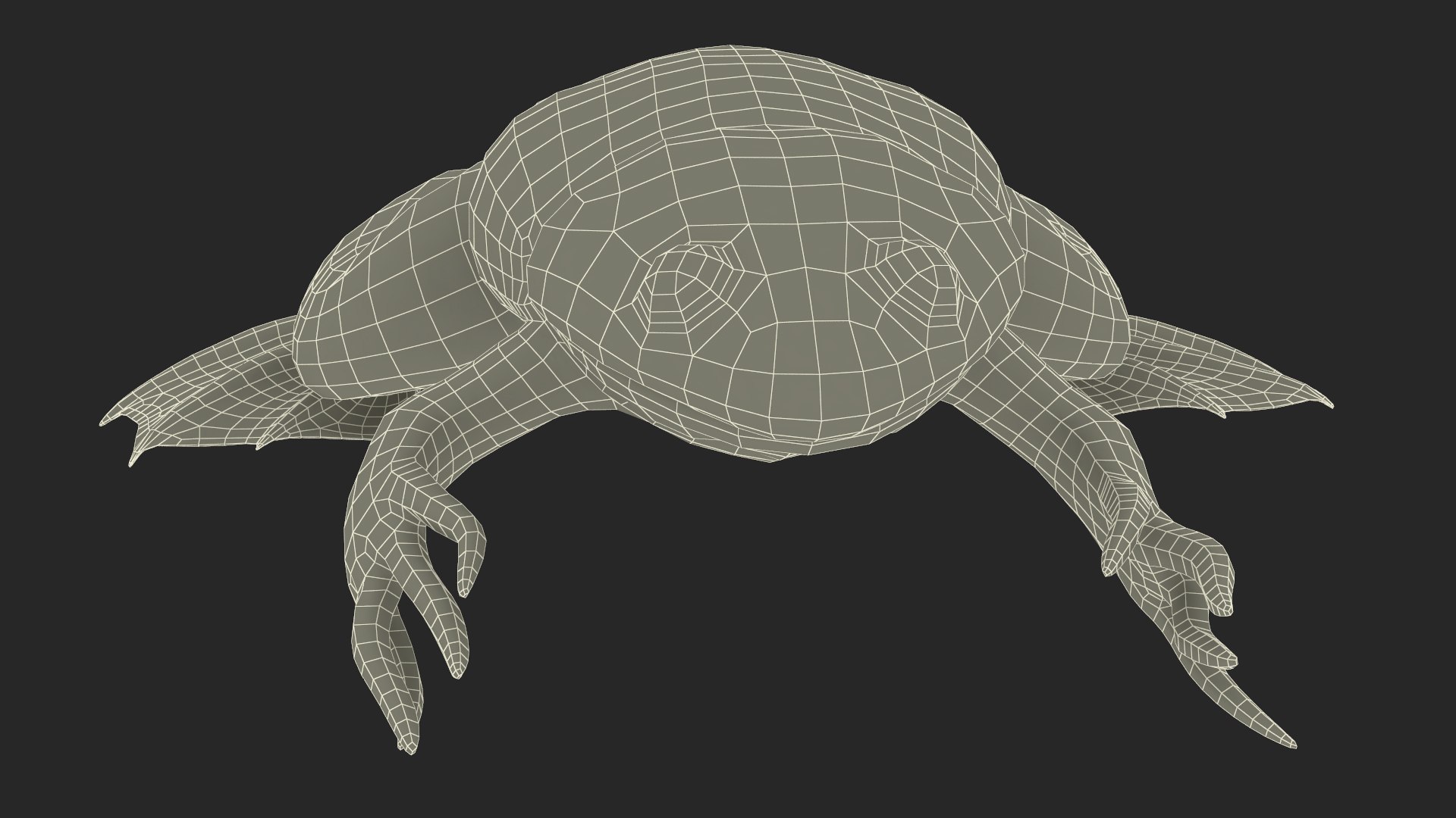 Xenopus African Clawed Toad Sits Pose 3D model - TurboSquid 2132255