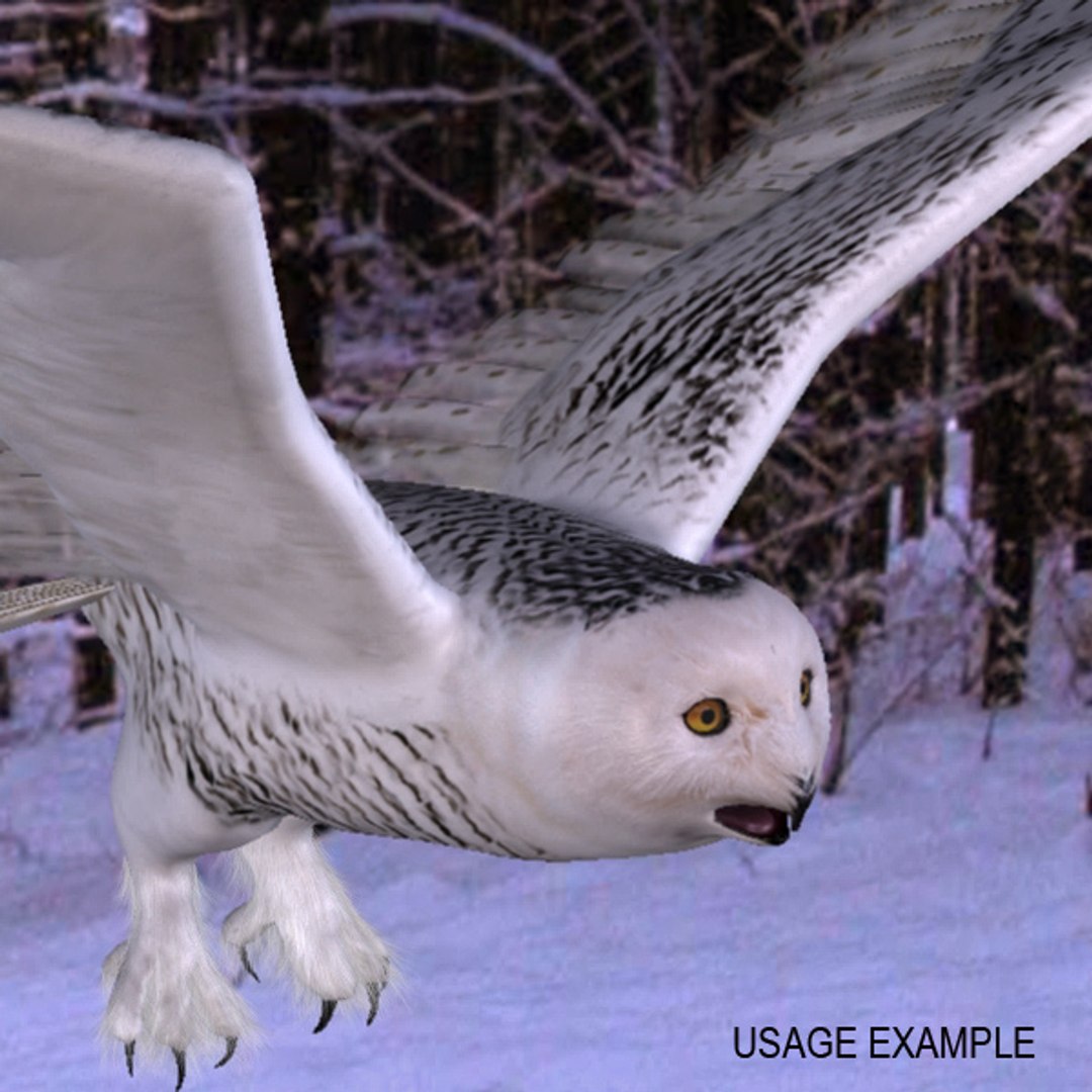 3d model owl snowy