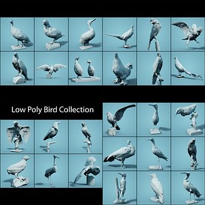 Bird Collection Low Poly