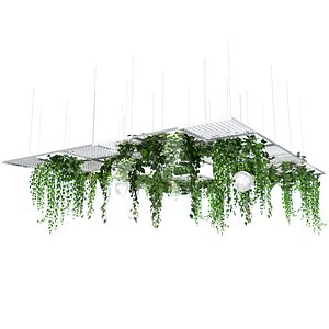 Ceiling Decor