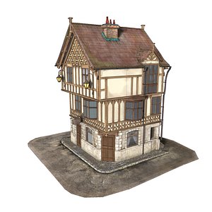 Medieval House