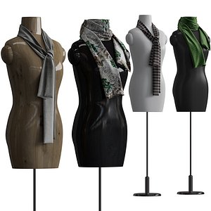 3D model Shawl over manikin