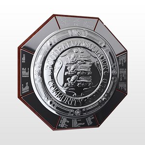 Community Charity Shield Trophy