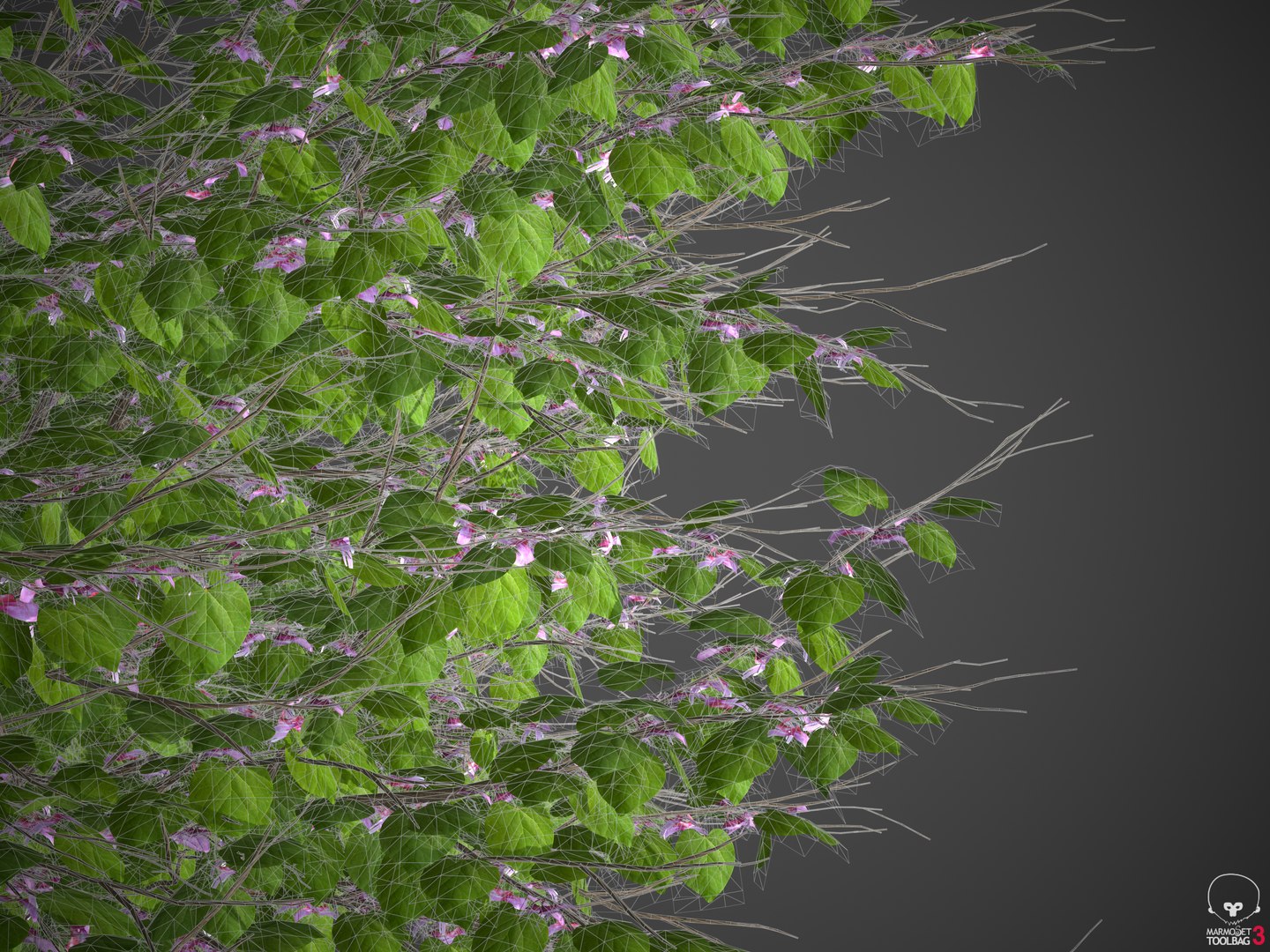 3D Model XfrogPlants Eastern Redbud - Cercis Canadensis - TurboSquid ...