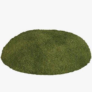 patch moss 3D model