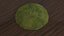 patch moss 3D model