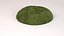 patch moss 3D model