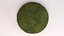 patch moss 3D model