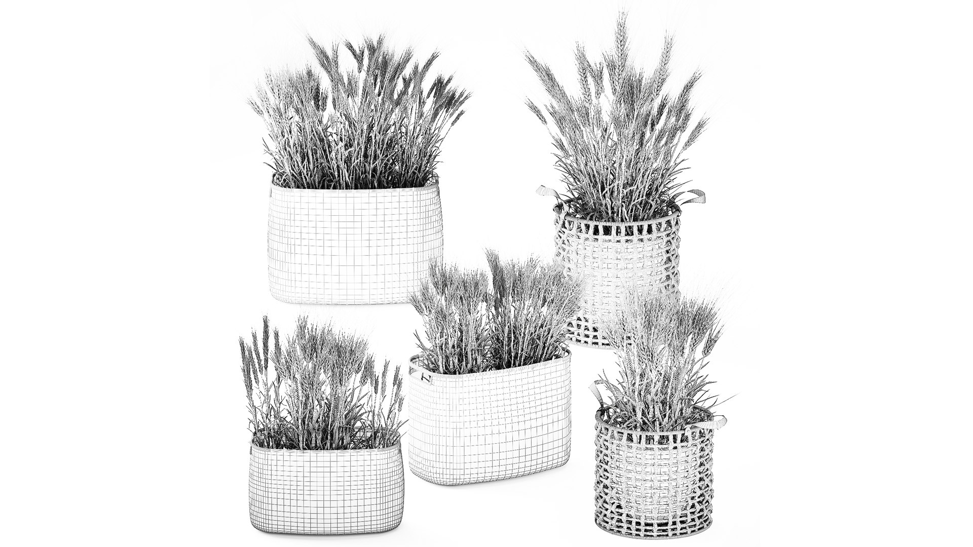 Dried green wheat bushes in flower baskets set decor 3D model https://p.turbosquid.com/ts-thumb/71/2Vlrum/7G/1wheatinbaskets040209/jpg/1770288066/1920x1080/fit_q87/4db4845edb2c603948422156d660d7e373c33643/1wheatinbaskets040209.jpg