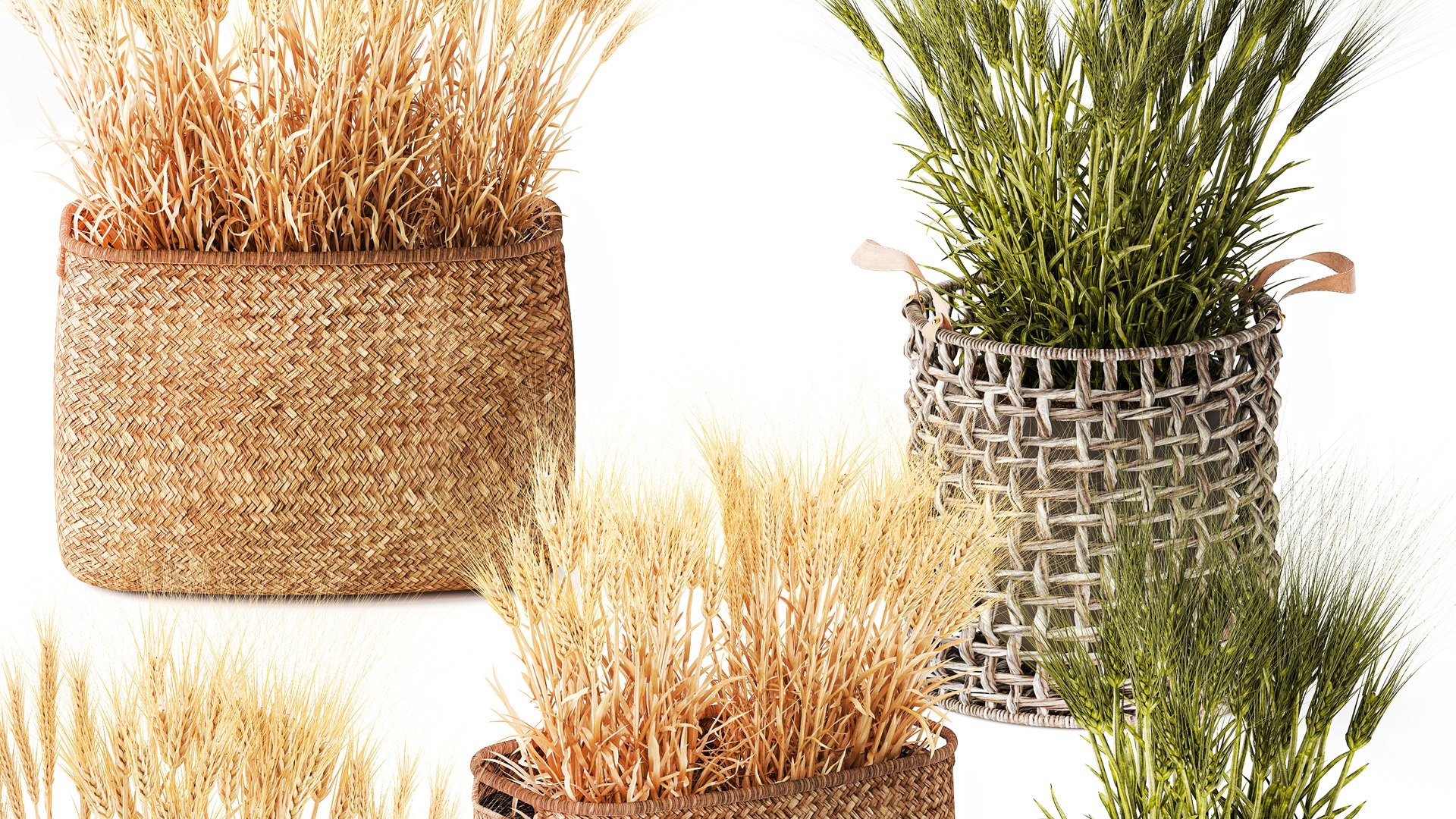 Dried green wheat bushes in flower baskets set decor 3D model https://p.turbosquid.com/ts-thumb/71/2Vlrum/zI/1wheatinbaskets040205/jpg/1770288066/1920x1080/fit_q87/27d3776bfc59821a24c3607d8241788b26448ccc/1wheatinbaskets040205.jpg