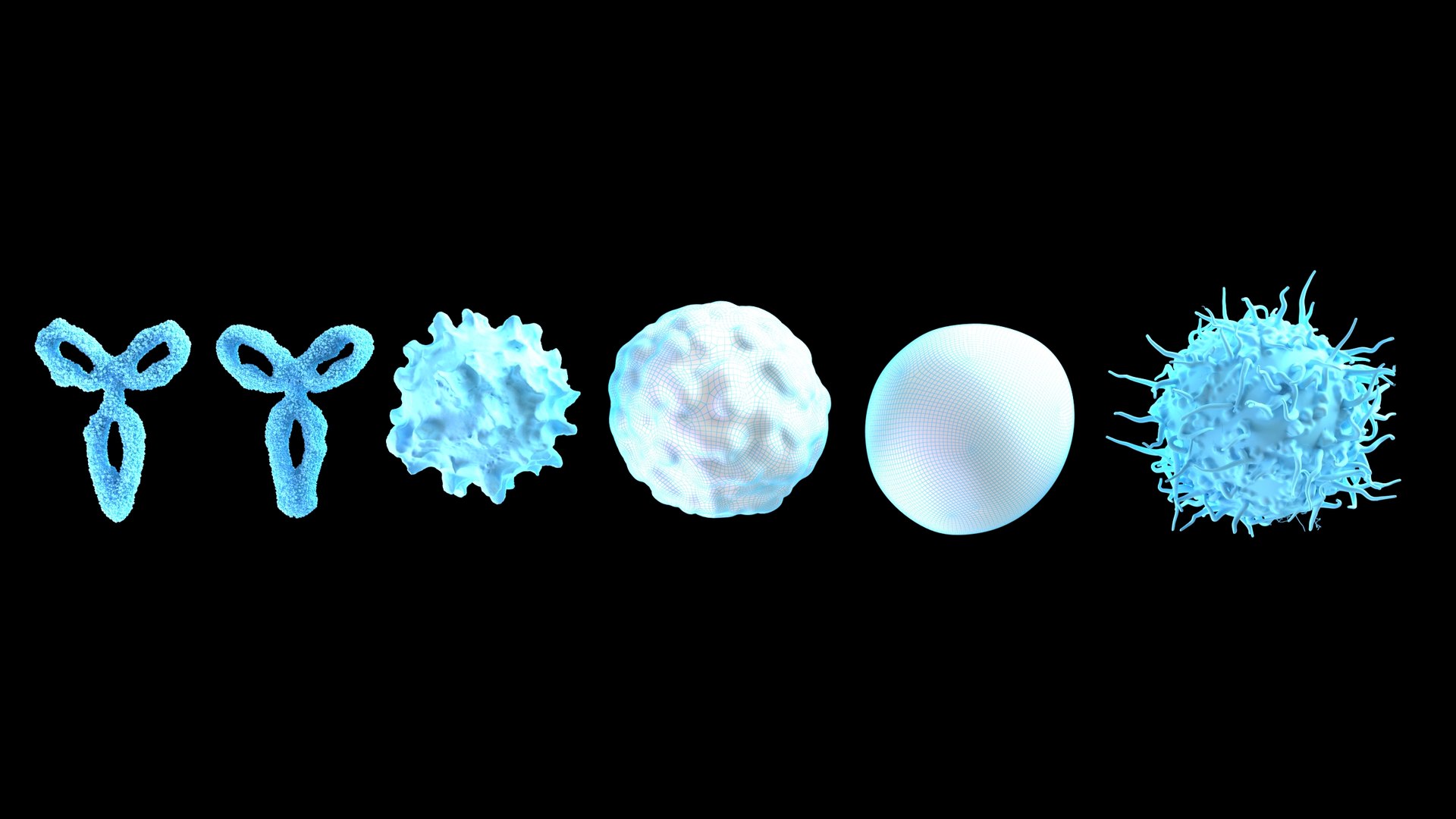 Cells Pack model https://p.turbosquid.com/ts-thumb/71/9WJsY8/E8/wireframe/jpeg/1720007906/1920x1080/fit_q87/db5f6a07da4800c6223adced5457b45110aeca97/wireframe.jpg