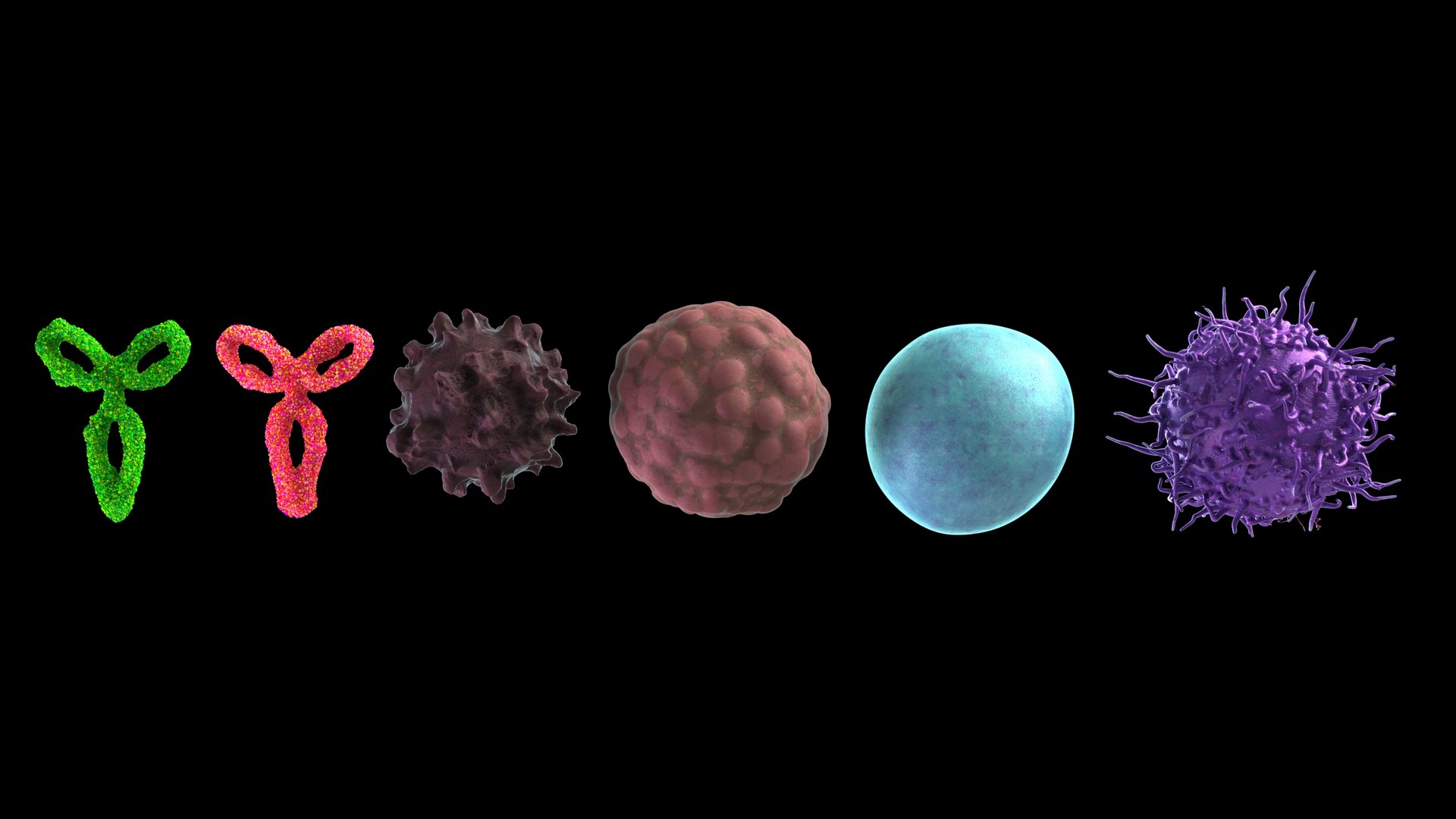 Cells Pack model https://p.turbosquid.com/ts-thumb/71/9WJsY8/H4/renderpack2/jpeg/1720008119/1920x1080/fit_q87/daad5e16b0e238f36c8dad9795a655c4eb17f2b8/renderpack2.jpg