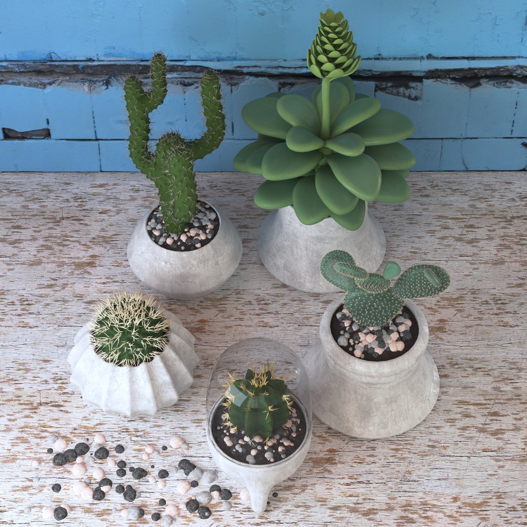 Cactus Set Model - TurboSquid 1173951