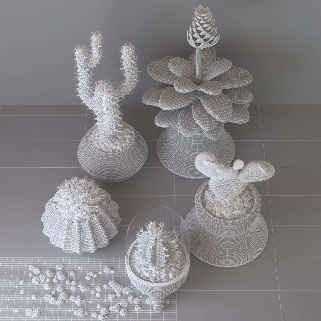 Cactus Set Model - TurboSquid 1173951